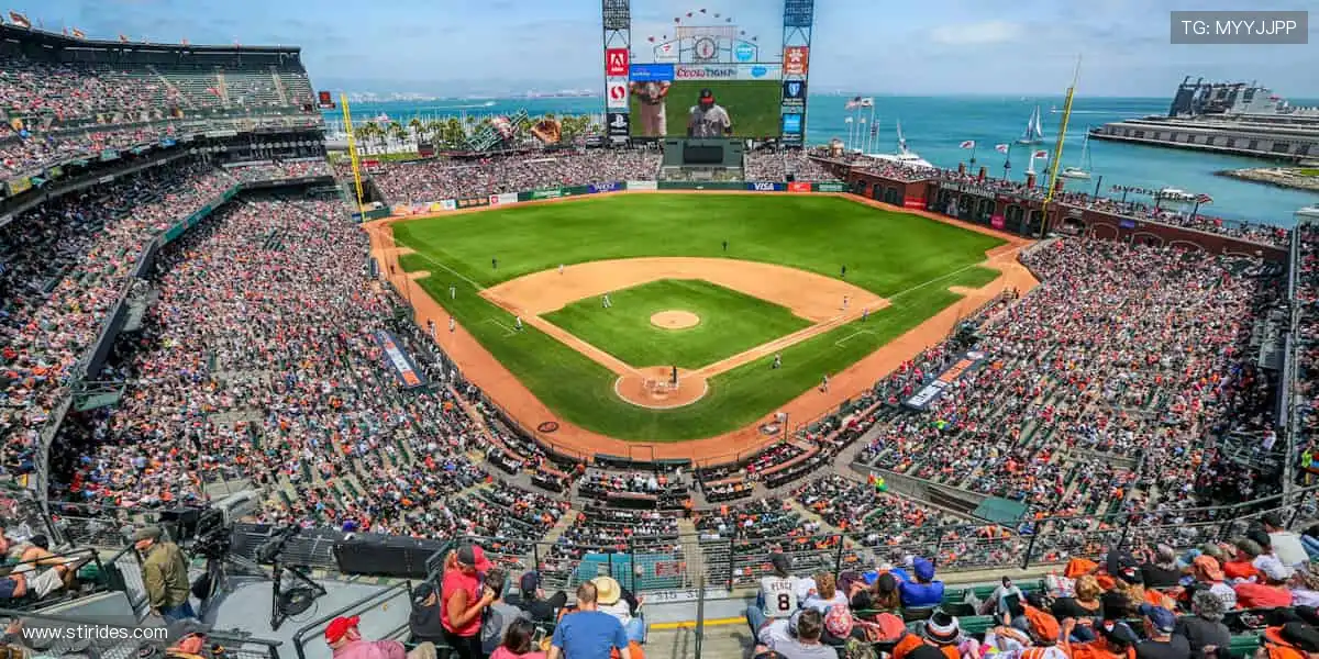📺随时随地，赛事直播永不缺席！📱